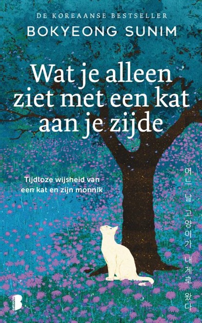 !! Wat je alleen ziet met een kat aan je zijde - Bokyeong Sunim