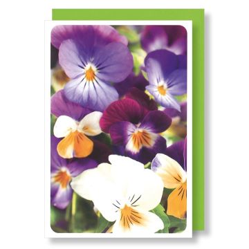 6 Wenskaarten met envelop - Bloemen zonder tekst