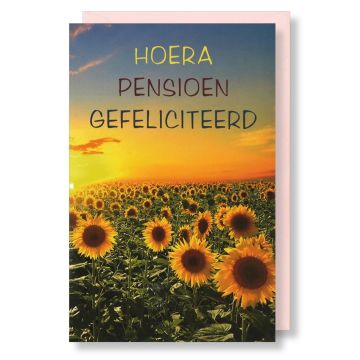6 Wenskaarten met envelop - Pensioen