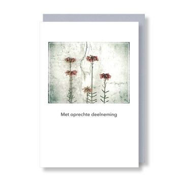 6 Wenskaarten met envelop - Deelneming