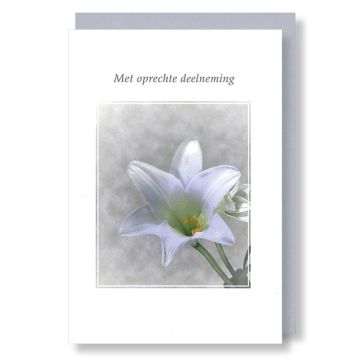 6 Wenskaarten met envelop - Deelneming