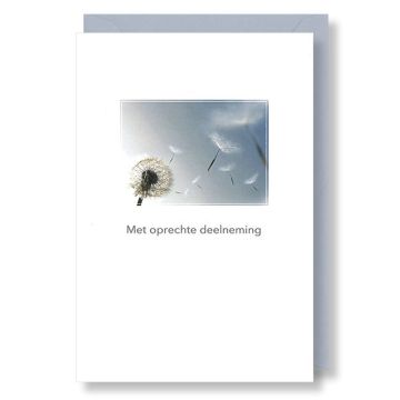 6 Wenskaarten met envelop - Deelneming