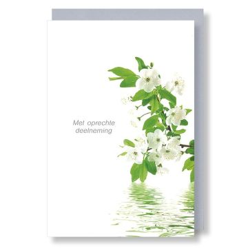 6 Wenskaarten met envelop - Deelneming
