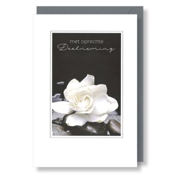 6 Wenskaarten met envelop - Deelneming