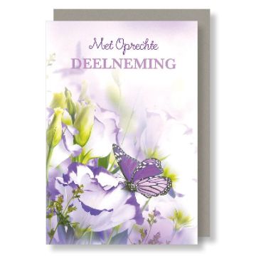 6 Wenskaarten met envelop - Deelneming