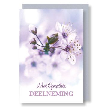 6 Dubbele kaarten met envelop - Deelneming