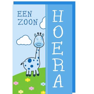6 Wenskaarten met envelop - Geboorte zoon