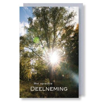 6 Wenskaarten met envelop - Met oprechte deelneming