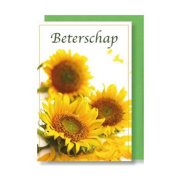 6 Wenskaarten met envelop - Beterschap Zonnebloem