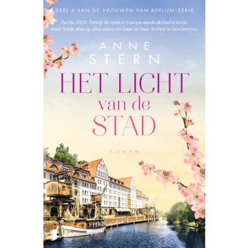 Het licht van de stad - Anne Stern